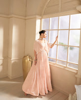 Designer Light shaded unique Dress on Georgette Fabric with foil and embroidered work | designer dress | Bollywood Dress